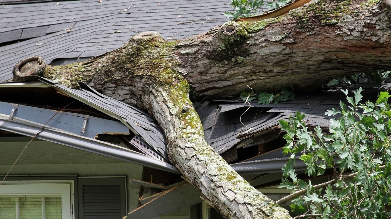 Emergency Roofing Services in Princeton, LA